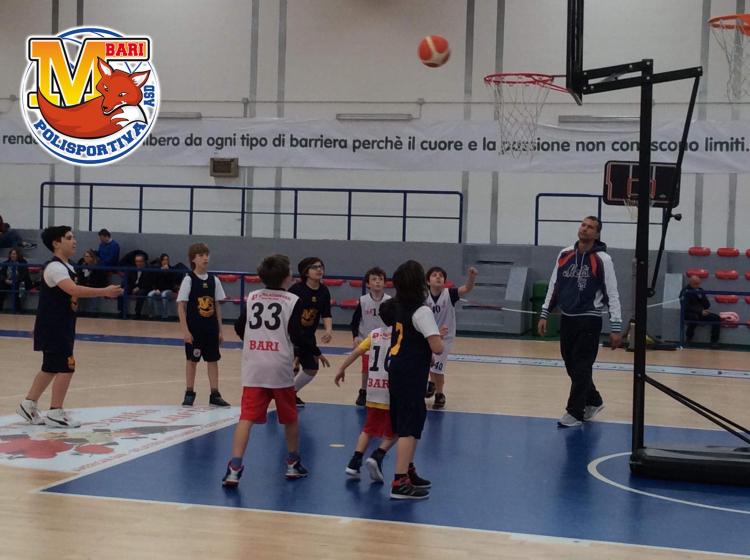 Polisportiva M Bari, Basket: Sorrisi e tanto divertimento per i minivolpini nell’amichevole con l' Adria Bari