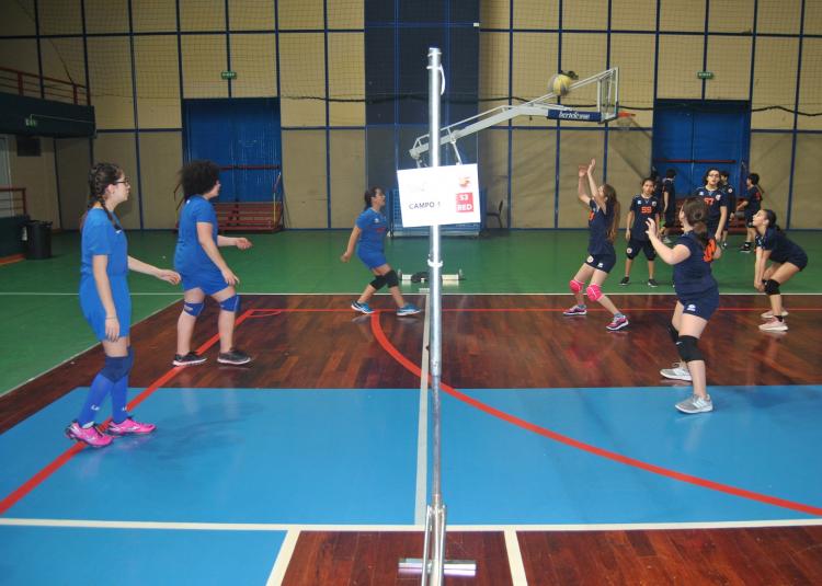 Volley: Tanta passione al raduno territoriale di Volley S3 organizzato dalla Polisportiva M Bari